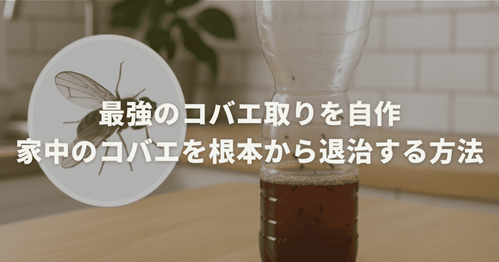 最強のコバエ取りを自作。家中のコバエを根本から退治する方法