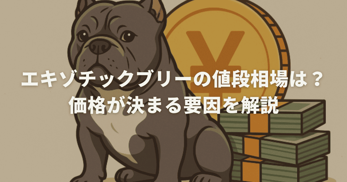 エキゾチックブリーの値段相場は？価格が決まる要因を解説
